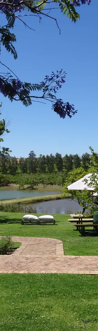 Stellenbosch
